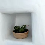 Skepi Town アパート Mykonos Town